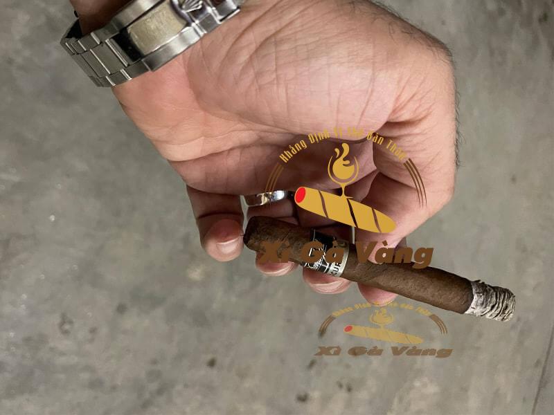 Đánh giá hương vị của Davidoff Primeros Escurio